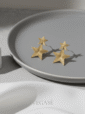 Star Küpe 3