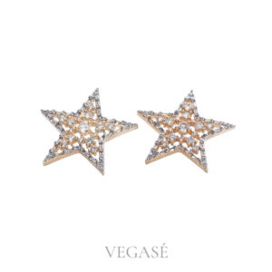 Asteria Küpe - Taşlı Yıldız Küpe