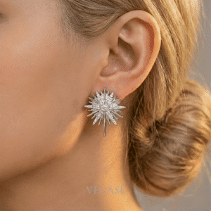 Taşlı Kuzey Yıldızı Küpe – Işıltılı Zirkon Taşlı Parlak Gümüş Renk