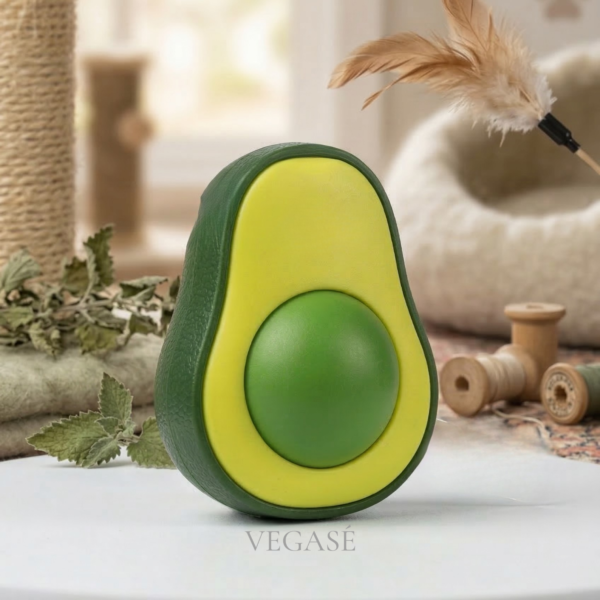 Vegase Web kopyassı Vegase Web kopyassı