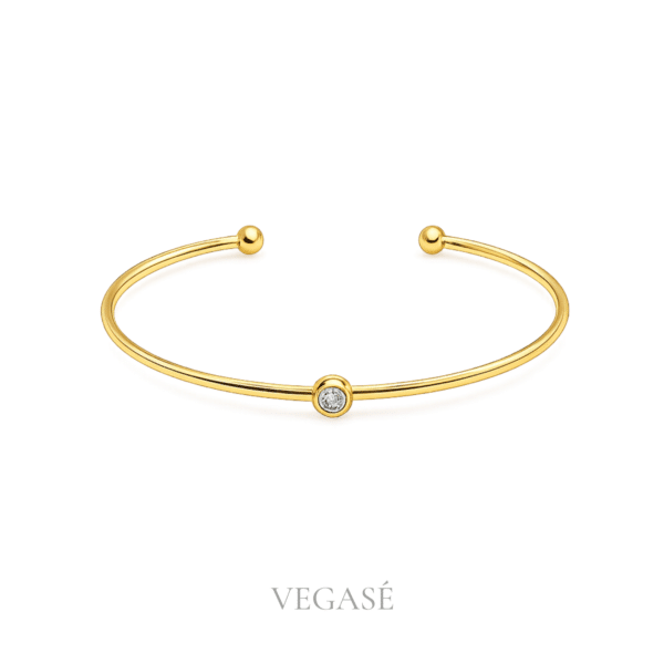 Vegase Web